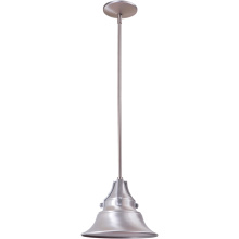 Craftmade Z4401-SA - Union 1 Light Small Outdoor Pendant in Satin Aluminum