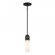Crystorama CAP-8511-MK-TG - Brian Patrick Flynn Capsule 3.25'' LED Matte Black + Textured Gold Pendant