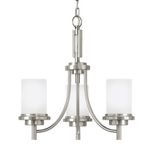 Drum Shade Chandeliers in Berkeley