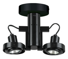 CAL Lighting HT-962/MR-16-BK - 12V, MR-16, 2 Lights 50W Max Ea Tra
