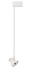 Elco Lighting ET534-18W - DISCON CLASP W/18" EXTNSION