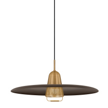 Troy F2625-PBR/BRZ - Pacific Pendant