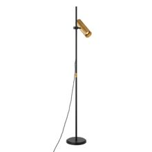 Troy PFL9665-PBR/SBK - Quinn Floor Lamp