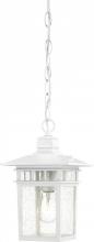 Nuvo 60/4954 - Cove Neck; 1 Light; 12 in.; Outdoor Hang with Clear Seed Glass; White Finish