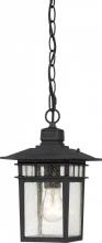 Nuvo 60/4956 - Cove Neck; 1 Light; 12 in.; Outdoor Hang with Clear Seed Glass; Textured Black Finish