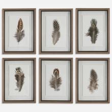 Uttermost 41460 - Uttermost Birds Of A Feather Framed Prints Set/6