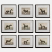 Uttermost 32343 - Uttermost Equine Dynasty Framed Prints Set/9