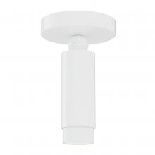 ET2 E21680-WT - Cleo-Flush Mount